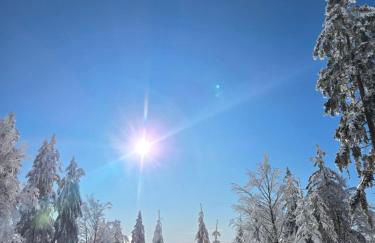 Ochsenkopf-apartment - Foto 22