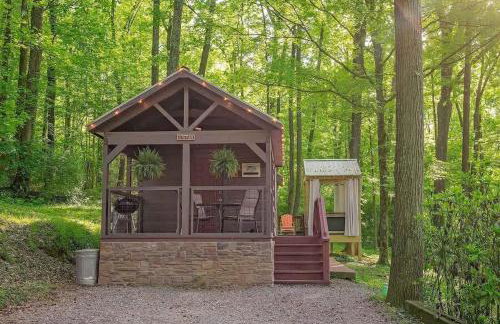 Stefan Cabin Nature-nested Tiny Home Hot Tub - Foto 3