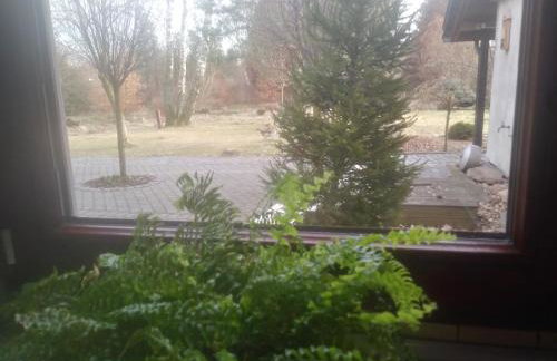 Dąbrowski - Photo 21