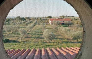 Namaste - Mare, Lago di Bolsena e Terme di Vulci - Foto 8