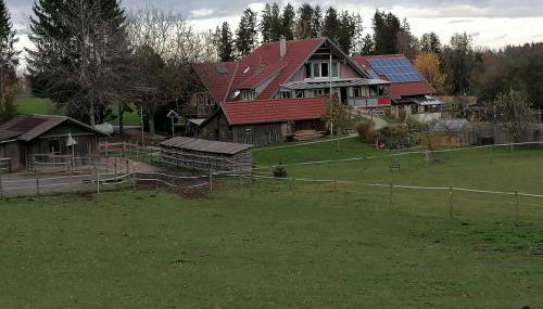 Spehnerhof - Foto 3, Garden