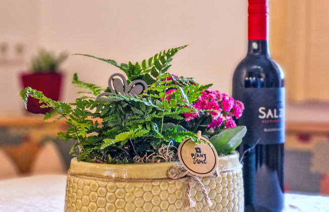 Lueg ins Land - Foto 9