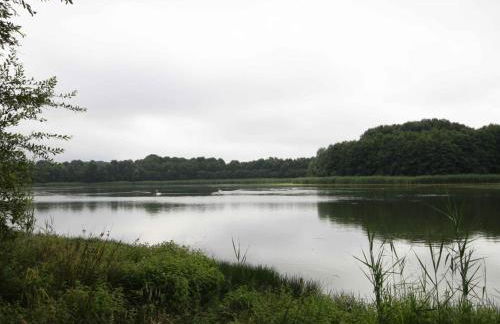 Ancien moulin avec terrasse et animaux acceptés - FR-1-497-84 - Foto 11