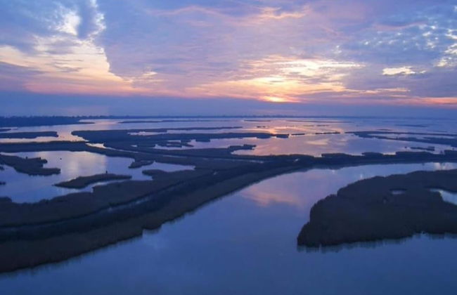 Pet-friendly Getaway With Pool - Foto 36