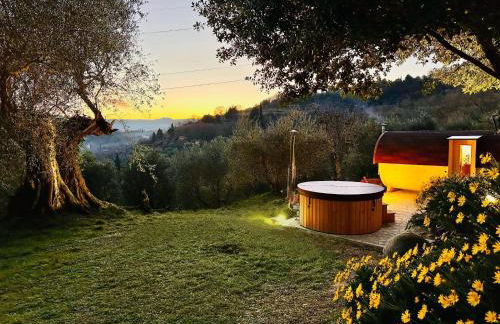 Montebello degli Olivi - Foto 1