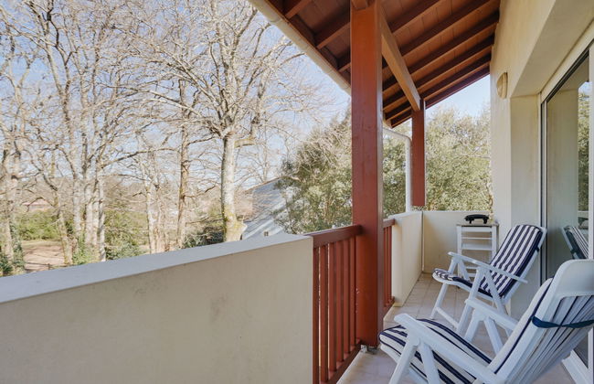 Les écureuils - Foto 5