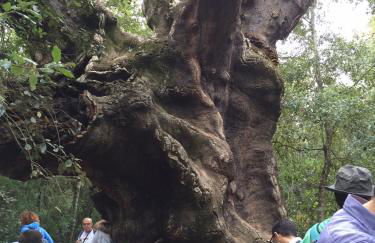 A Casa di Antonella - Foto 66