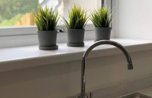 Rhondda Valleys with Breathtaking Riverside Views - Foto 16