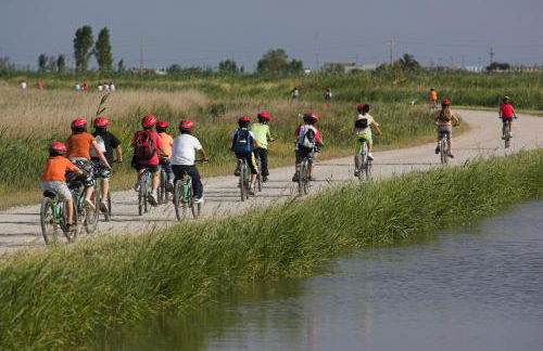 Casa Elisabeth - Foto 41