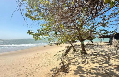 Casa 2 Quartos com Ar Condicionado e 1 Suíte a 200mts da praia - Photo 8