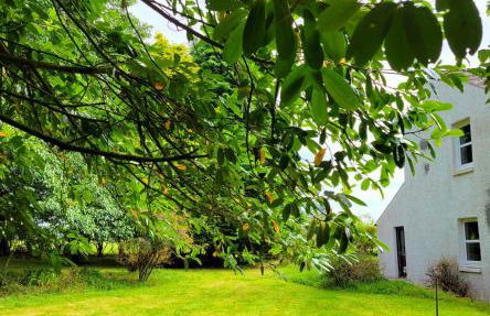 Large country house with garden, outdoor spa area & games room with Hot Tub and Fire Pit - Foto 42