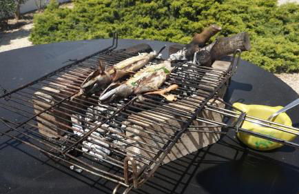 Casa Eucaliptus - Foto 17