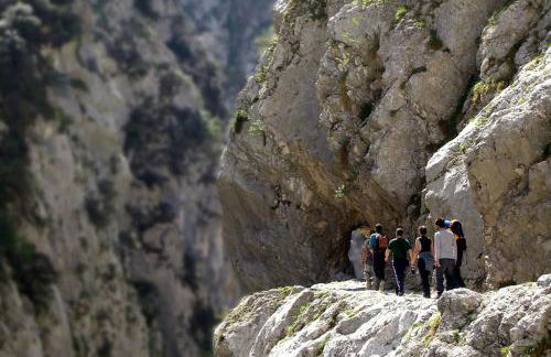 Gran Pedroso de Llanes - Foto 21