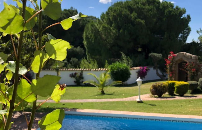 TOTTAM EXPERIENCE - Foto 1