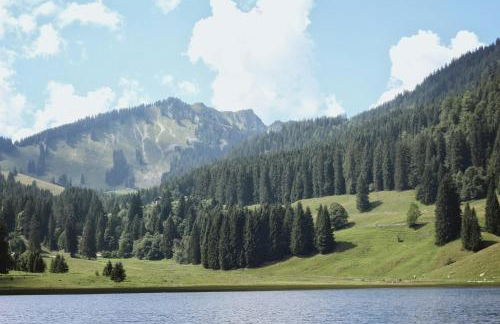 Ferienwohnung "Seeruhe" - Berge, See und Natur am Spitzingsee - Foto 19