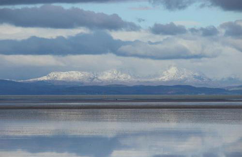 Dolphin House - Foto 10