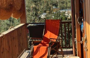 Cabanon Régina - Foto 40