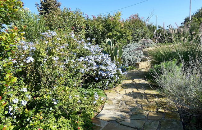 Residenza Arcangela - 4 Alloggi con 2 Piscine Private nel Salento - Fino a 20 Posti Letto - Photo 35