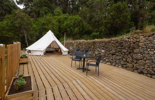 Monte frio de Tenerife - Foto 80