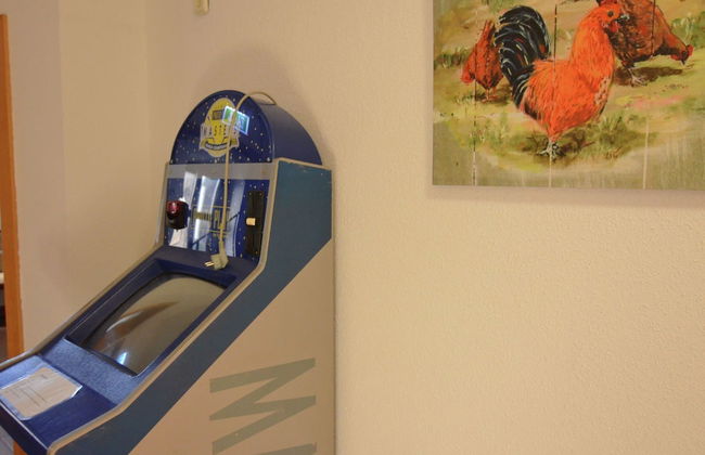 Classy Holiday Home in Deutschneudorf near Glockenwanderweg - Foto 23