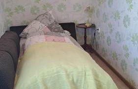 Keller´s Ferienwohnung an der Saale - Foto 2