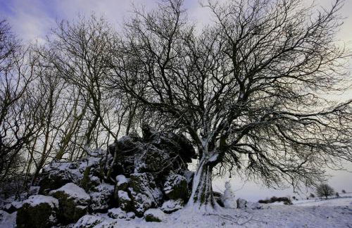 Gorgeous romantic cosy cottage retreat with views - Foto 25