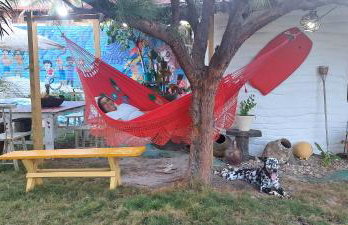 Portal Vida chalé na praia da Taiba - Foto 12