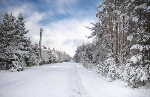 Jarzębinowa - artystyczny dom na Podlasiu - Foto 59