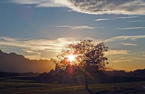 Beim Bicher - Photo 63