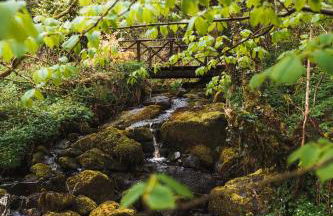 Luxury studio with HOT TUB and Stunning Gardens - Foto 13