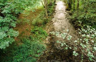 Casa Calma Rural - Foto 51