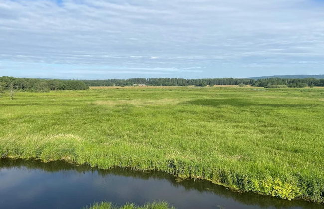 5 Person Holiday Home in Skanderborg-by Traum - Photo 29