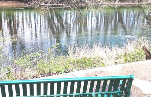 Wolf's Cabin-Walk to Downtown Noblesville - Foto 43