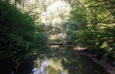 70qm Wohnung, 76771 Hördt, Naturschutzgebiet, Rheinland-Pfalz - Foto 19