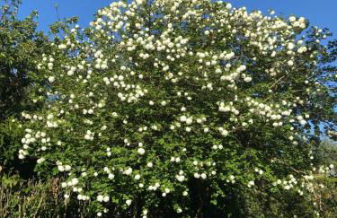 La maison des pêcheurs - Foto 33