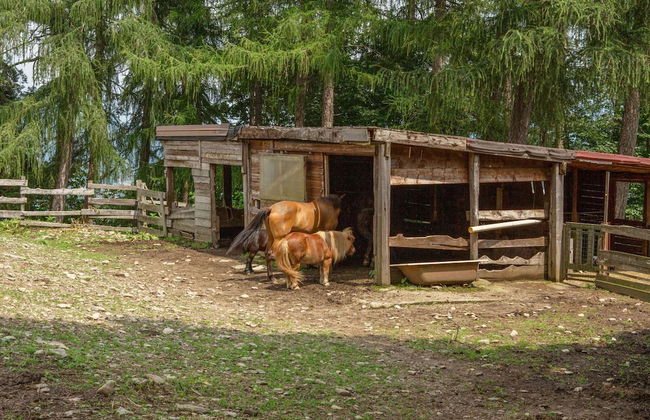 Farmhouse in Verbania With Lake Views - Foto 10