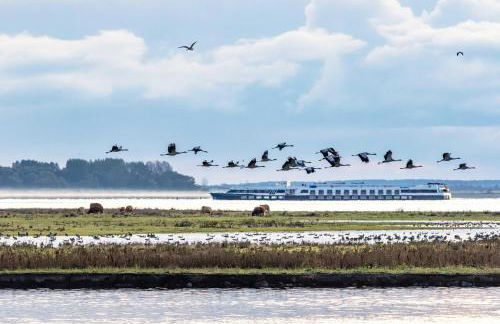 5 Sterne Ferienhaus Ostseetraum - 50m zum Strand - Ladestation für E-Auto - Foto 26
