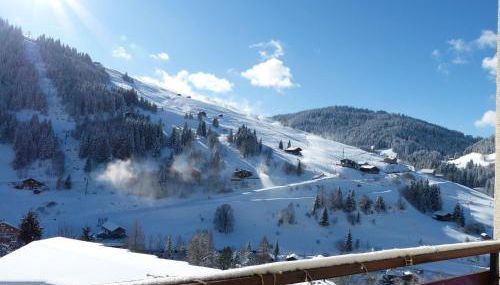 Appartement cosy, pied de piste, cheminée, animaux admis - FR-1-304-153 - Foto 3