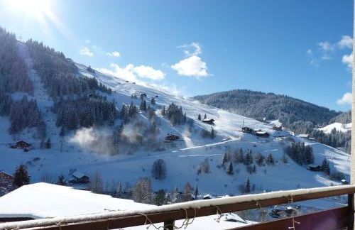 Appartement cosy, pied de piste, cheminée, animaux admis - FR-1-304-153 - Foto 3