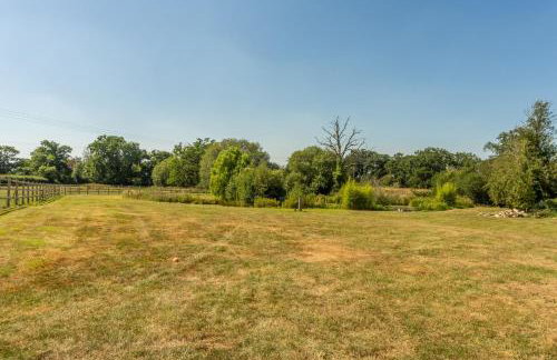 Tudor Rose - Foto 29