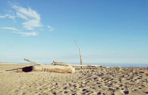 Camargue - La Saline Forézienne - Salin-de-Giraud - Foto 50