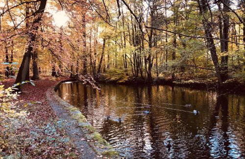 "Heckenrose" - Foto 12