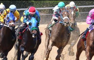 3BR 3Bath Newly Built Townhome in Charles Town, WV - Foto 23