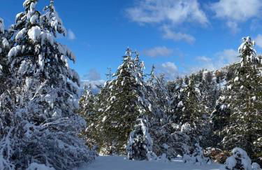 Appartamento immerso nel verde - Foto 16