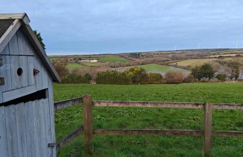 Luxury Countryside Shepherds Hut with Hot Tub - Foto 12