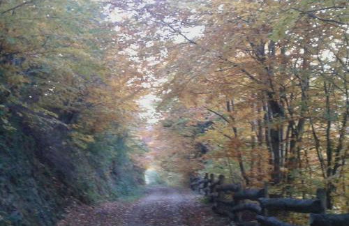 Casa Cuevas - Foto 16