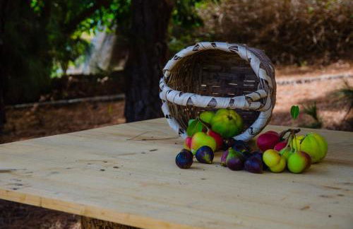 Galguen Paradise in the island of stars. Villa. - Foto 62