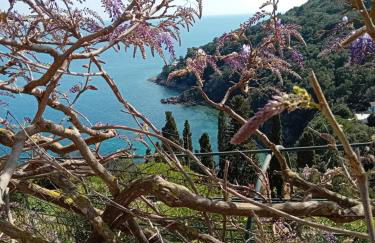 Casa Bella 'Mbriana - Foto 41