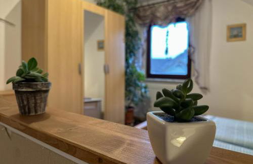 Am Sonnenblick - Foto 11