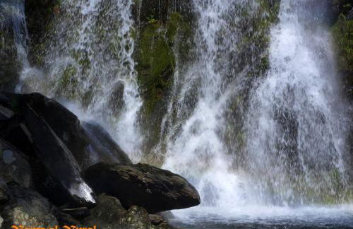 Ramajal Rural - Foto 44